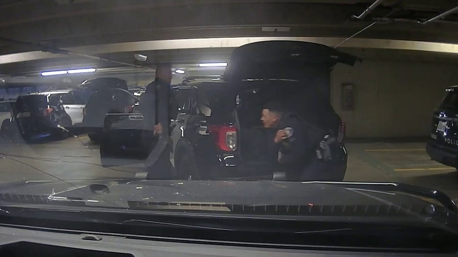 Police department releases shocking officer 'horseplay' shooting video