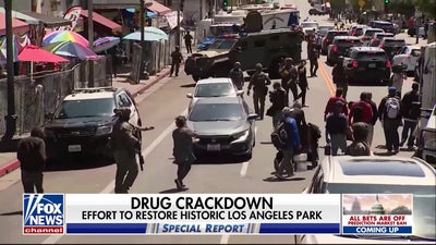 25 federally charged after massive narcotics bust at popular LA park