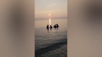 Two stranded dolphins rescued from Massachusetts river