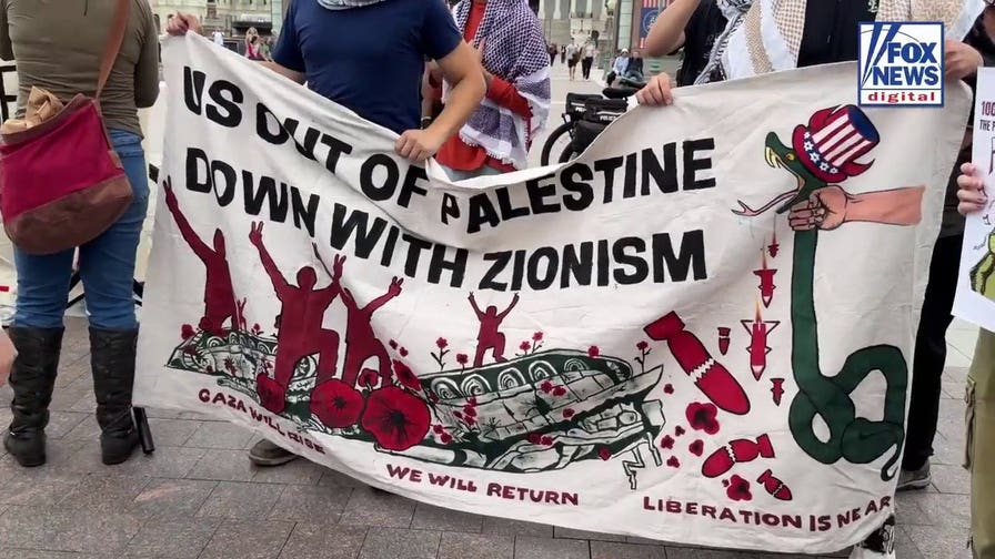 Three voices at pro-Palestinian protest answer one question: What is the solution?