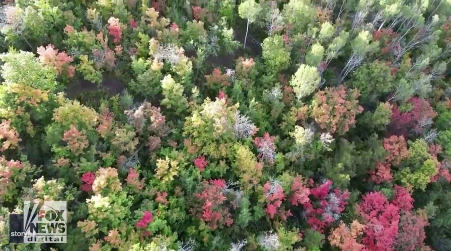 Stunning drone footage shows beautiful fall foliage — check this out