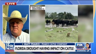Deepening Florida drought hits ranchers, growers - Fox News