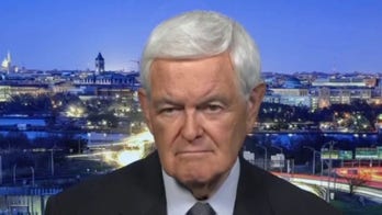 Newt Gingrich: If you are a big government socialist, you despise the law
