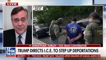 Jonathan Turley says Trump has authority to send ICE into sanctuary cities: 'He can do it'