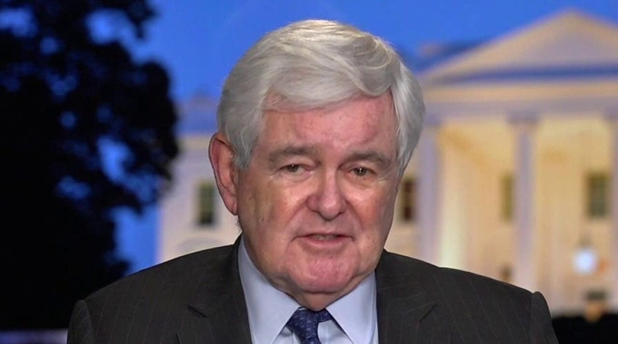 Gingrich: Georgia's Senate election will have national consequences
