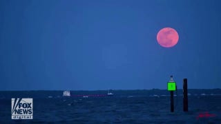 April’s pink moon captured on full display over Chesapeake Bay - Fox News