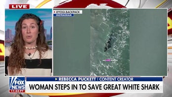WATCH: Florida woman steps in to save great white shark 