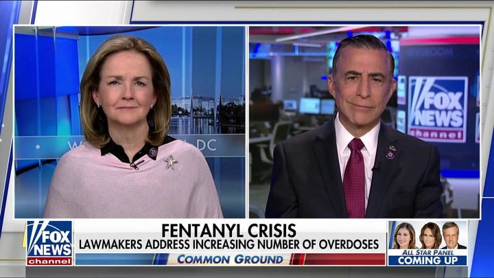 Every eight minutes about one American will die of an overdose: Darrell Issa