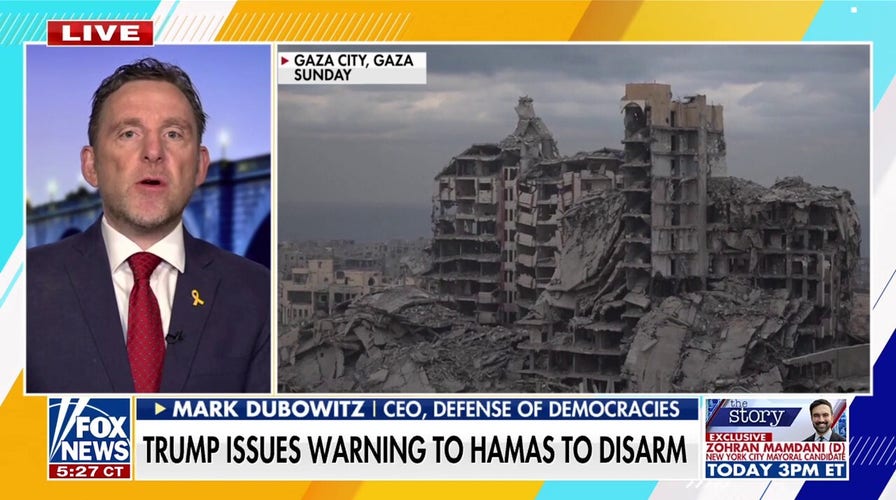 Expert says Hamas is in 'clear violation' of peace deal as crackdown in Gaza continues