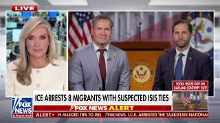 House reps. make bipartisan push for comprehensive border solution - Fox News
