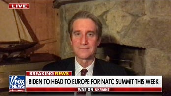 If NATO maintains solidarity, Putin 'forced to back down': Expert