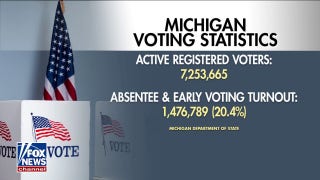 Michigan expects election results within 24 hours - Fox News