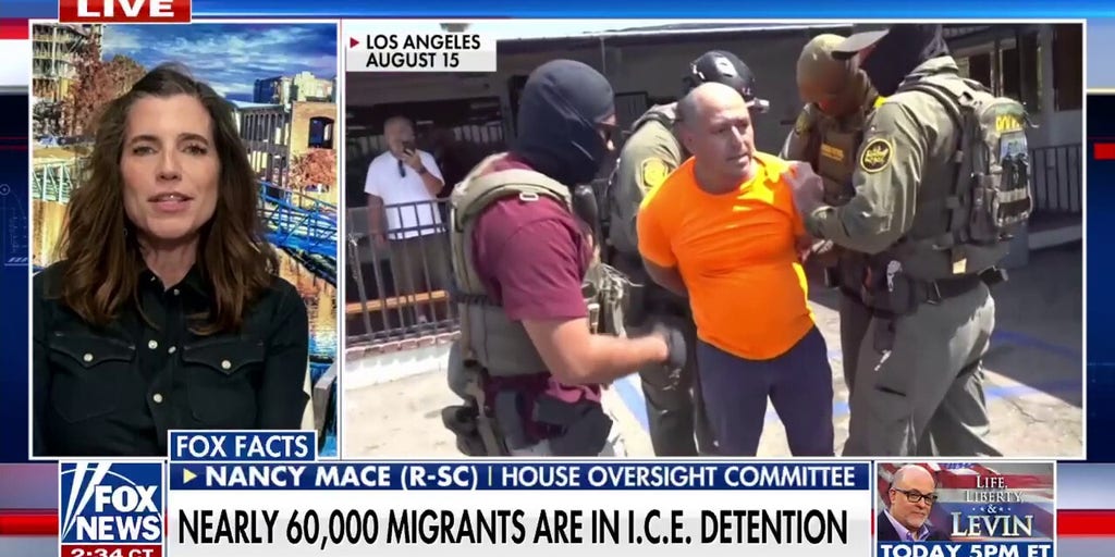 'Insane' that the Democratic Party fights for criminals and gang members, says Rep Nancy Mace
