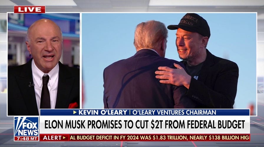 Kevin O'Leary touts Musk, Ramaswamy's effort to cut federal spending: 'Release the hounds'