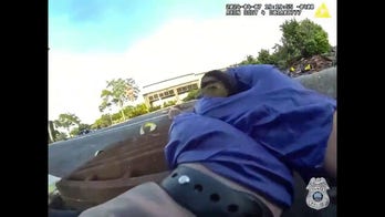 Tampa police officers rescue six ducklings and reunite them with their mother