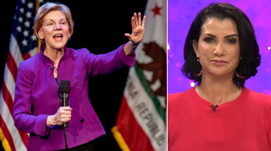 Dana Loesch warns Warren's vow to take on online disinformation is 'dangerous'