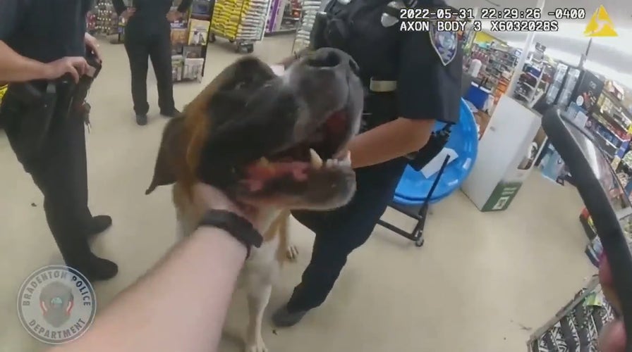 Florida police remove 135 pound St. Bernard from Dollar General