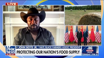 Iowa farmers accuse China of stealing land, seeds