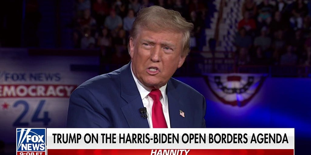 If Democrats win, you’ll have ‘100 million’ people enter our country: Trump