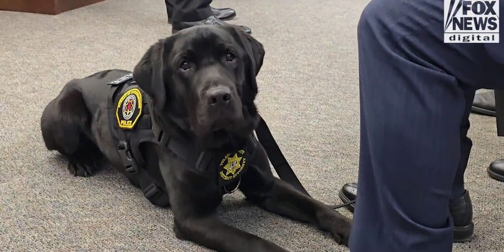 Special K-9 helps hunt down online predators