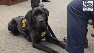 Special K-9 helps hunt down online predators - Fox News