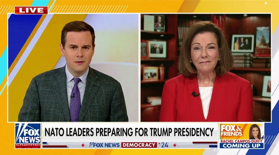 US adversaries could see 'vulnerable' election season as 'window of opportunity': KT McFarland