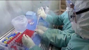 Former State Department official reveals 'procedural' and 'substantive concerns' with Wuhan COVID-19 origin