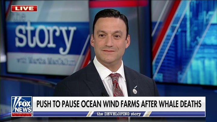 We are seeing the utter hypocrisy of groups like Sierra Club and Greenpeace: Sen. Testa
