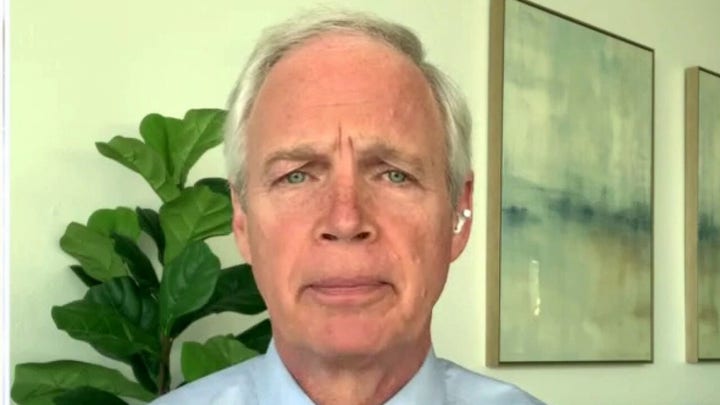 Sen. Johnson speaks out after dustup with Chuck Todd on election concerns