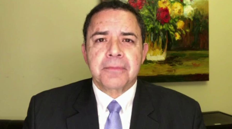 Texas Democrat warns of 'humanitarian crisis' if border surge continues