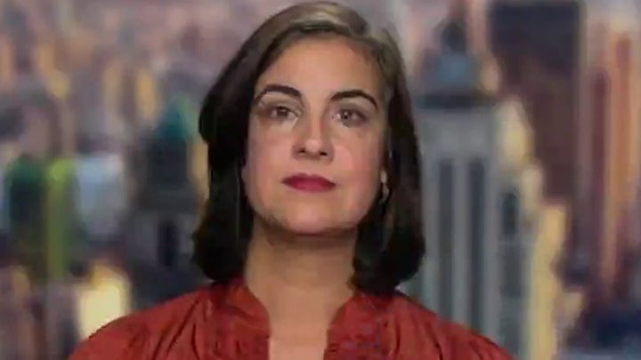 Rep. Nicole Malliotakis to Texas Dems: 'You don't run from a vote'