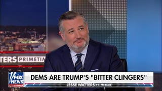 Ted Cruz: The Left is melting down