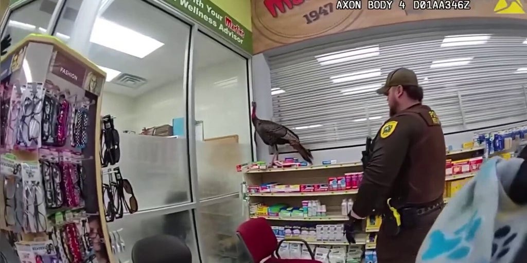 Wild turkey terrorizes supermarket until police capture it