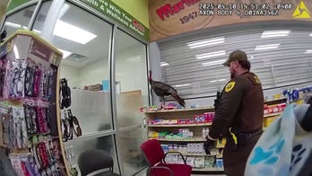 Wild turkey terrorizes supermarket until police capture it