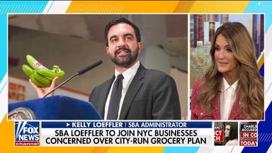 Kelly Loeffler slams Mamdani's city-run grocery store plan in NYC