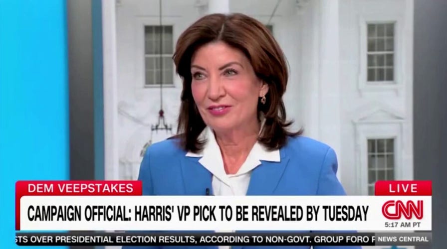 CNN host asks Hochul if she's bothered by Kamala Harris' VP short-list being 'all White men'