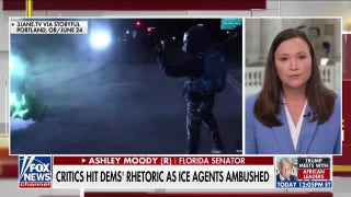 GOP senator calls out Democrats’ rhetoric against ICE agents