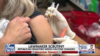 CDC advisory committee weighs changing childhood vaccine schedule