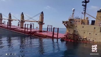 Houthi struck ship in Red Sea becomes first to sink during war