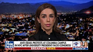 Iranian-American lawyer whose response to anti-Israel protesters went viral predicts new 'world war' - Fox News