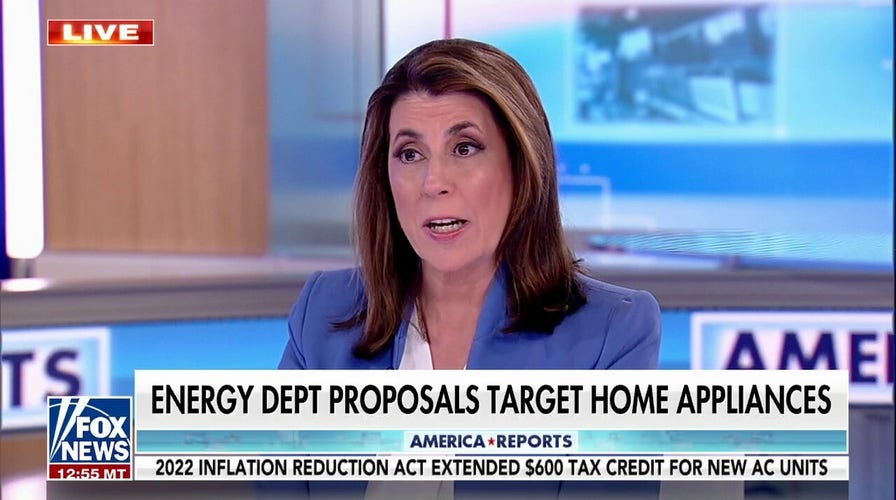 Tammy Bruce rips Biden's government for wanting to regulate her air conditioning