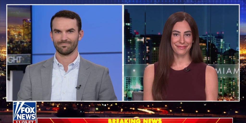 Democrats’ stance on DOGE is ‘political suicide,’ ‘teeing up glorious victory’ for GOP, commentator says