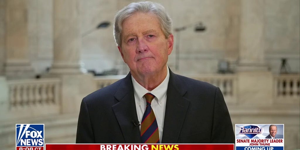 Democrats are no longer defined by principles, but by hatred of Trump, top Republican says