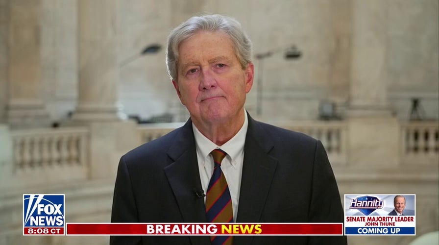 Democrats are no longer defined by principles, but by hatred of Trump, top Republican says