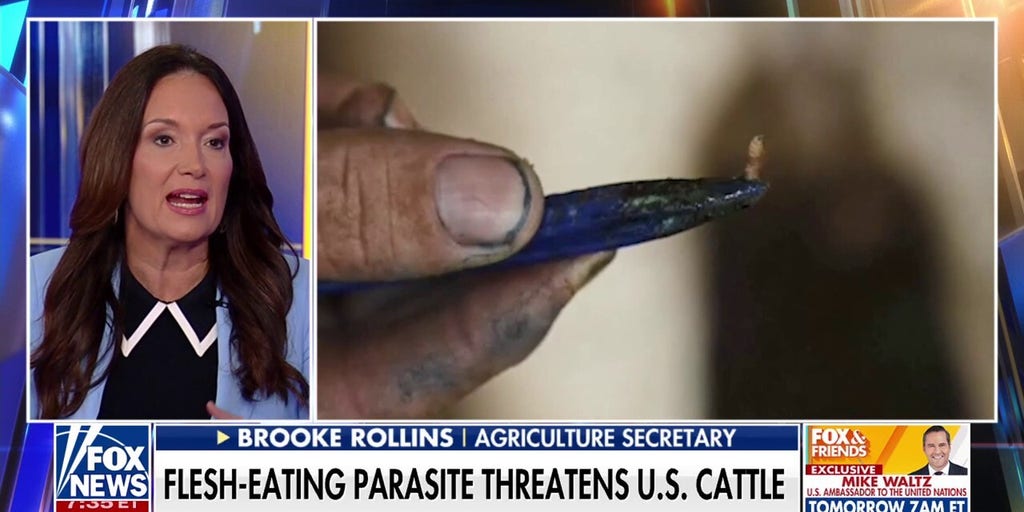 This flesh-eating parasite is 'knocking on our back door,' Agriculture secretary warns