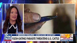 This flesh-eating parasite is 'knocking on our back door,' Agriculture secretary warns