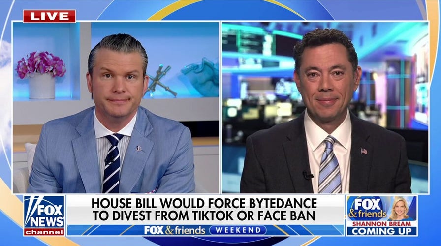 America should have banned TikTok a ‘long time ago’: Jason Chaffetz