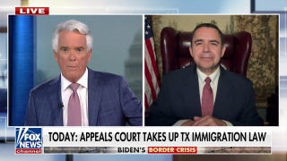 Rep. Henry Cuellar on border crisis: 'There's enough blame to put on everybody' - Fox News