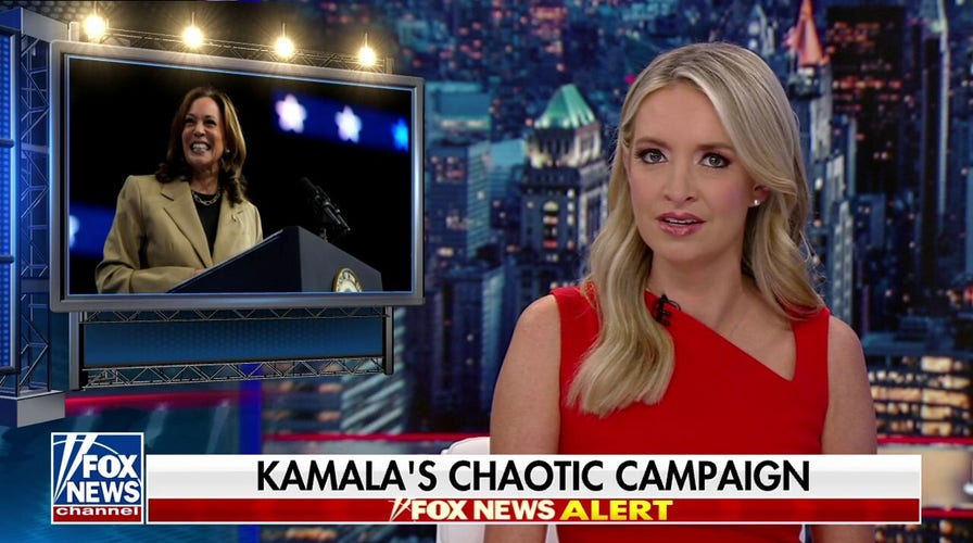 Kamala’s new ad would have you believe she’s 'the second coming of Trump': Kayleigh McEnany