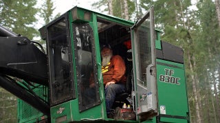 Trump's timber order reignites old fight among loggers, environmentalists